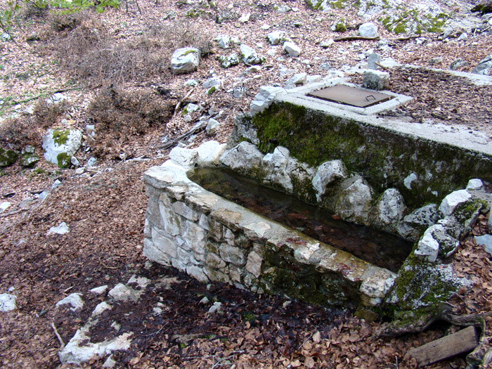 Fontanili del Lazio